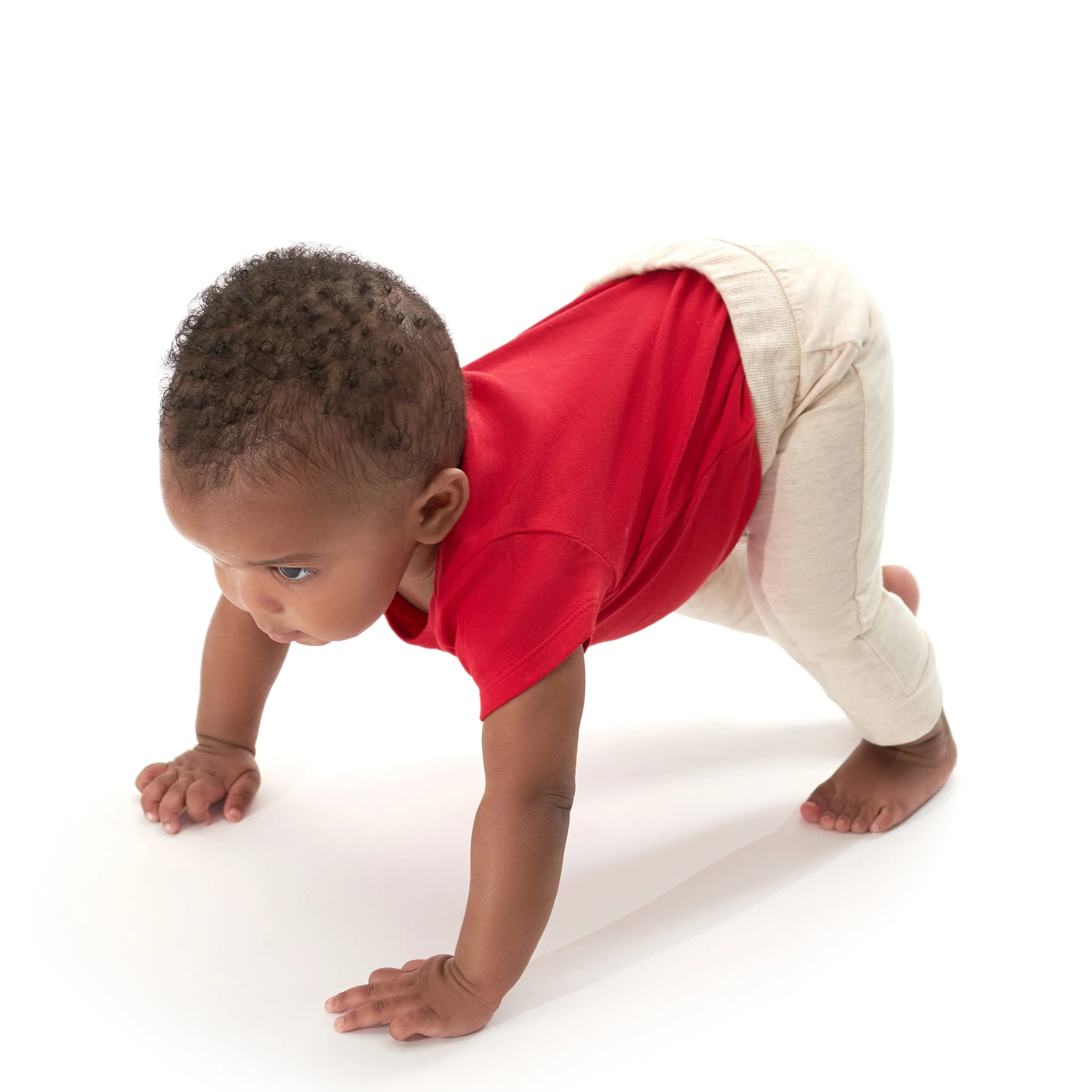 3-Pack Baby & Toddler Boys Green & Black Premium Jogger - Image 3